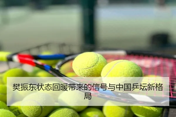 樊振东状态回暖带来的信号与中国乒坛新格局