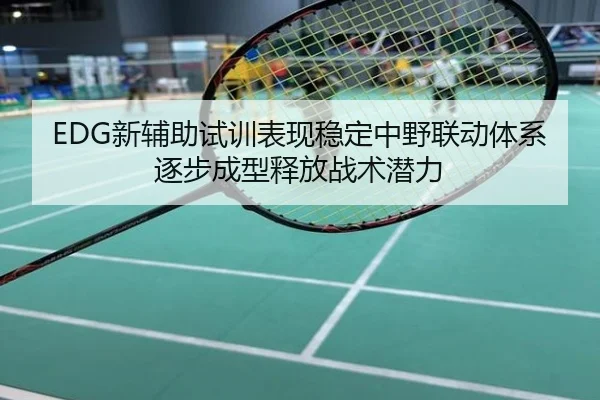 EDG新辅助试训表现稳定中野联动体系逐步成型释放战术潜力